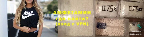 дживик Белокуриха