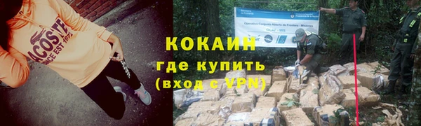 ПСИЛОЦИБИНОВЫЕ ГРИБЫ Белоозёрский