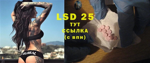 дживик Белокуриха
