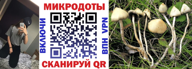 Галлюциногенные грибы Psilocybe  купить   Нижние Серги 